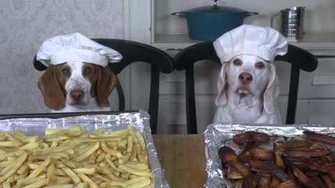 Dogs ringing in the New Year with a French Fry cooking competition