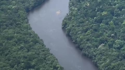 What it's like flying over the Amazon rainforest in Guyana