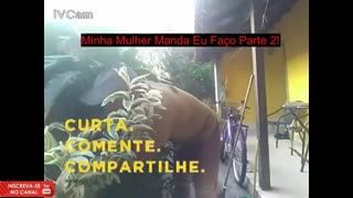 5 dicas práticas para limpar o quintal e podar as plantas parte 8