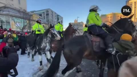 Canadian Police Horse's trampling Peaceful protesters