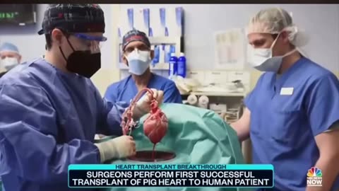 SURGEONS PERFORM FIRST SUCCESSFUL TRANSPLANT OF PIG HEART TO HUMAN PATIENT