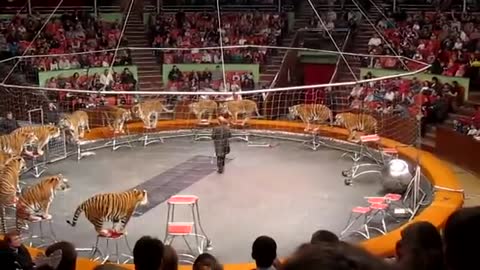 RUSSIAN CIRCUS