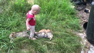 Sweet baby gives kisses to sleeping kittens