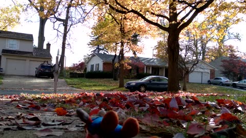 Mario ASMR: hardheadmario's LeafBlower Blowing the Leaves AWAY. ASMR SOUNDS