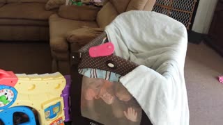 Toddlers playing peek-a-boo