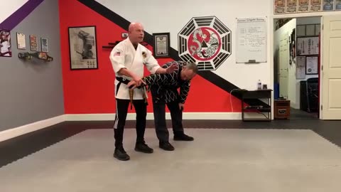 Hapkido Instructor Training