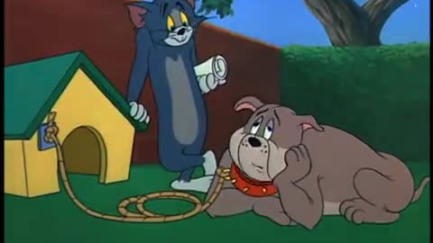 Animasi tom and Jerry
