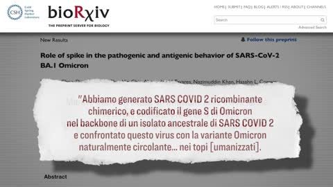 Università di Boston fa incremento di patogenicità sulla variante Omicron. Ma “va tutto bene”