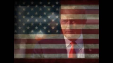 I Pledge Allegiance To President Trump From Sea To Shining Sea So Help Me God