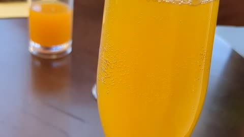 Mimosa celebration for signing travel package for $15k