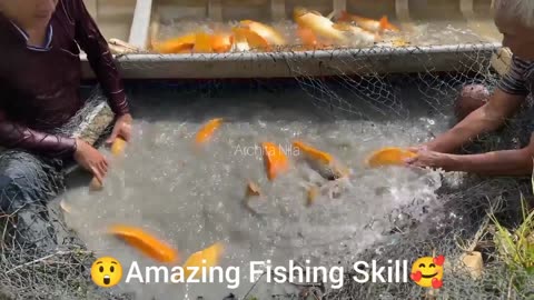 😲 Waw, Big Fish Fight | Amazing Fishing Skill Video 2023 | Funniest Animals