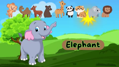 learn animals name , animals video for children