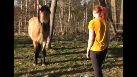 Horse SOO Cute! Cute And funny horse Videos Compilation cute moment