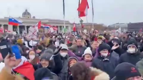 They don't really Care about us song playing at the Vienna Austria Protest