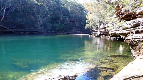 A Journey to a Secrete Swimming Hole. Are there Sharks?!