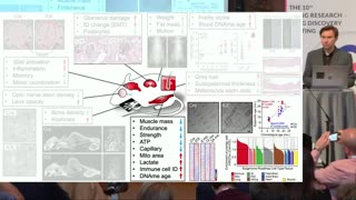 David Sinclair at ARDD2023: Epigenetic stabilization and reprogramming: an update