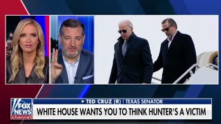 Sen. Ted Cruz reacts to the Hunter Biden plea deal
