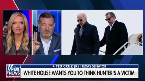 Sen. Ted Cruz reacts to the Hunter Biden plea deal