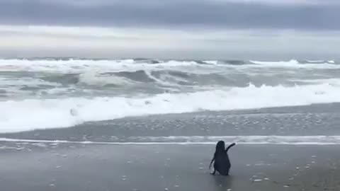 The little penguin goes to his own house.