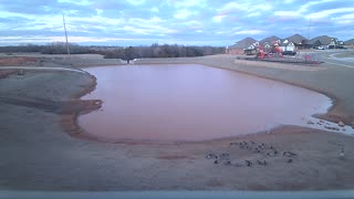 The Pond Christmas Day