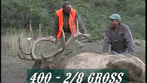 Over 400 P&Y Scoring Bull Elk!