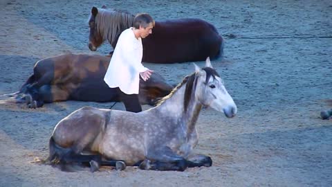 Jean-François Pignon. London International Horse Show