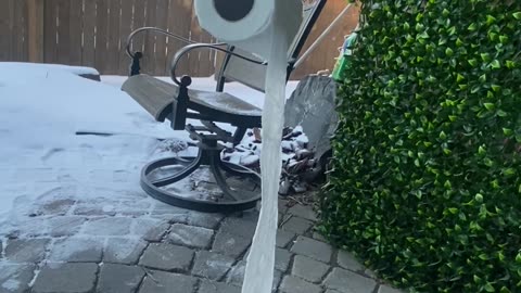 Frozen Toilet Paper Roll Defies Gravity