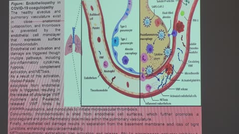 Cardiovascular diseases