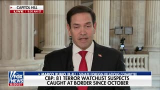 Sen. Rubio reacts to anti-Israel protests during Blinken's testimony