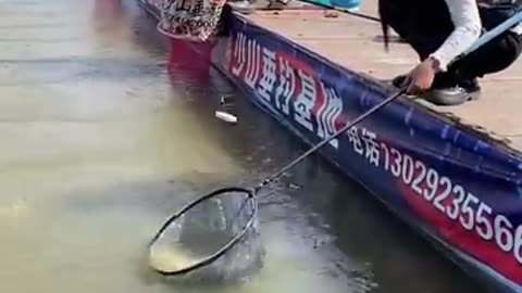 BEST ASIAN FISHING VIDEO!!!
