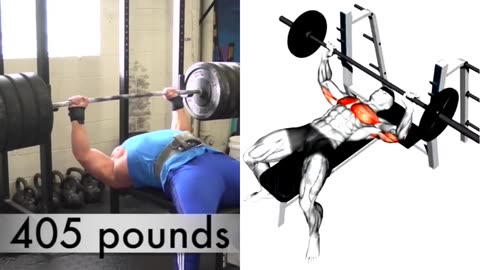 Effective Lower Chest Exercises to Torch Fat I NoDays Off
