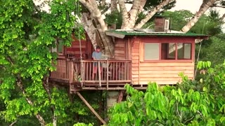 Amazon ‘treehouse classroom’ a remote lifeline in Peru