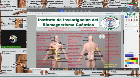 Protocolo para efectos secundarios de vacuna en RIÑON (Biomagnetismo Cuántico)