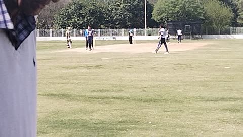 Cricket Match