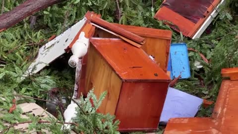 2-Year-Old Dies When Tree Crushes Home During Storm