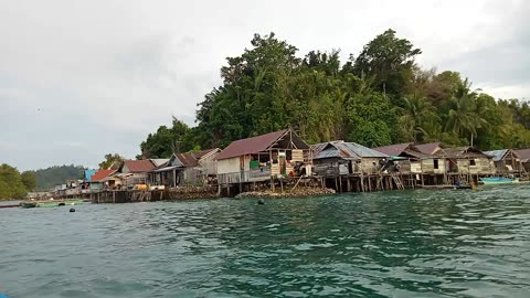 Togean Island