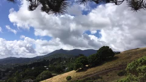 Mt. Tamalpais May 19th,2020