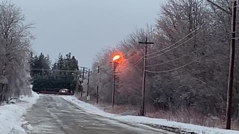 Tree Resting on Power Line During Ice Storm Causes Phase Arc