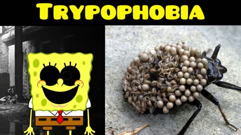 SpongeBob Becoming Uncanny (Trypophobia)