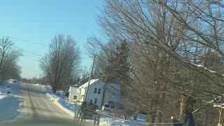 Horse Pulls Skiers Down the Street