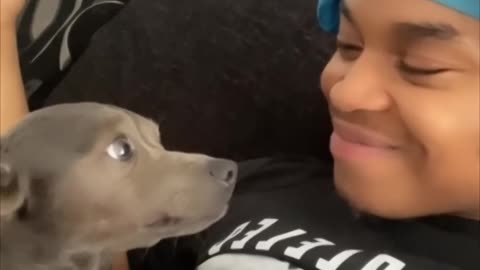 Men kisses his dogs head to see their reactions 😂