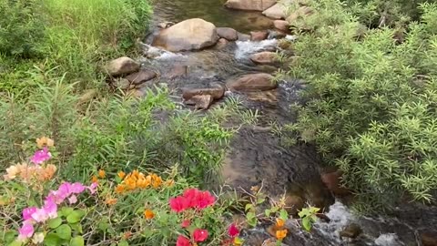 River Water Flowing