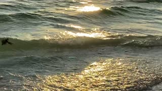 Relaxing waves crashing on St. Pete beach in 4k