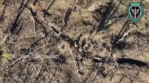 Russian DPR drones eliminates Ukrainian soldiers in a trench.