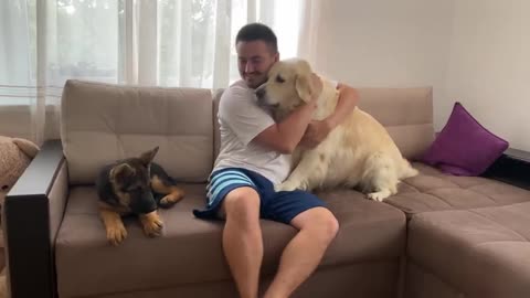 Hugging My Golden Retriever and German Shepherd Puppy for Too Long [TRY NOT TO LAUGH]