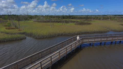 Blasian Babies DaDa Skydio 2+ Drone Hits Branch Castaway Island Preserve Kayak And Fishing Dock