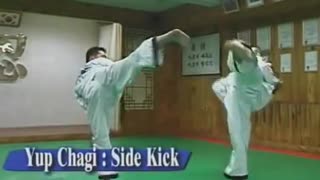 Hapkido