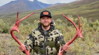 Aycock’s Adventures - Cameron’s Alaska Caribou hunt 2021