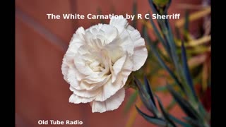 The White Carnation By R.C. Sherriff