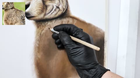 How To Draw Realistic Animal Fur (Hare) - Pastel Art Tutorial BEGINNERS 4K